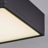 Netstal Plafondlamp LED Antraciet, 1-licht