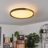 Buris Plafondlamp LED Zwart, Wit, 1-licht, Afstandsbediening