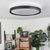 Buris Plafondlamp LED Zwart, Wit, 1-licht, Afstandsbediening