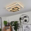 Trapani Plafondlamp LED Wit, 1-licht, Afstandsbediening