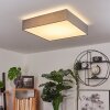 Tise Plafondlamp LED Wit, 1-licht