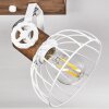 Orny Plafondlamp Bruin, Wit, 2-lichts