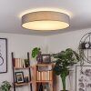 Tise Plafondlamp LED Wit, 1-licht