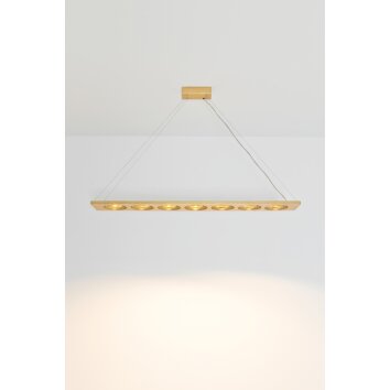 Holländer TENACIA Hanger LED Goud, 7-lichts