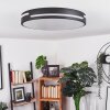 Seewen Plafondlamp LED Zwart, Wit, 1-licht, Afstandsbediening