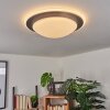 Wil Plafondlamp LED Antraciet, Wit, 1-licht