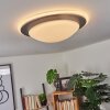 Wil Plafondlamp LED Antraciet, Wit, 1-licht