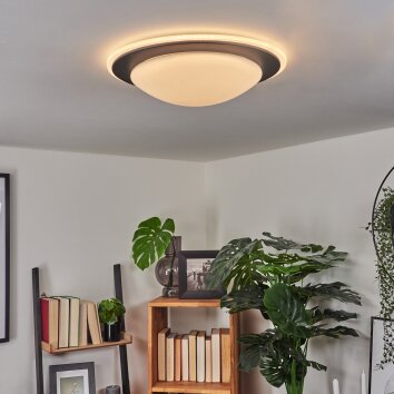 Wil Plafondlamp LED Antraciet, Wit, 1-licht