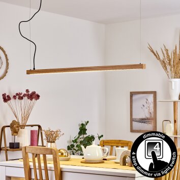 Disentis Hanglamp LED Natuurlijke kleuren, 1-licht