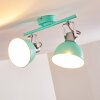 Borik Plafondlamp Groen, Wit, 2-lichts