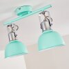 Borik Plafondlamp Groen, Wit, 2-lichts