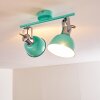 Borik Plafondlamp Groen, Wit, 2-lichts