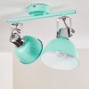 Borik Plafondlamp Groen, Wit, 2-lichts