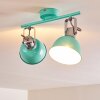 Borik Plafondlamp Groen, Wit, 2-lichts