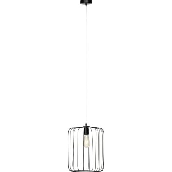 Brilliant Flavian Hanglamp Zwart, 1-licht