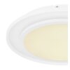 Globo MURPHY Plafondlamp LED Wit, 1-licht, Afstandsbediening, Kleurwisselaar