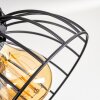 Orny Plafondlamp Natuurlijke kleuren, Zwart, 4-lichts