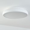 Rhone Plafondlamp LED Wit, 1-licht, Kleurwisselaar