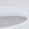 Rhone Hanger LED Wit, 1-licht, Kleurwisselaar
