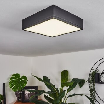 Netstal Plafondlamp LED Zwart, 1-licht