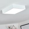 Netstal Plafondlamp LED Wit, 1-licht