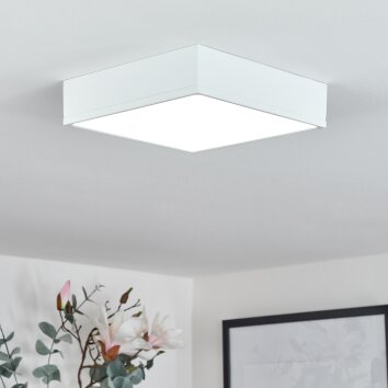 Netstal Plafondlamp LED Wit, 1-licht
