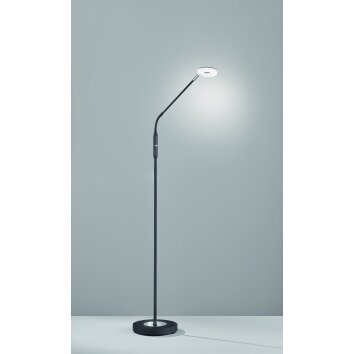 Fischer-Honsel Dent Staande lamp LED Zwart, 1-licht