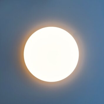 Fischer-Honsel Mona Plafondlamp LED Wit, 1-licht