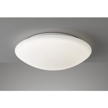 Fischer-Honsel Clara Plafondlamp LED Wit, 1-licht