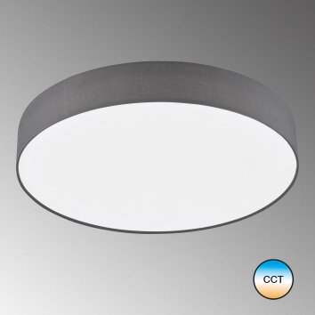 SCHÖNER-WOHNEN-Kollektion Pina Plafondlamp LED Wit, 1-licht, Afstandsbediening