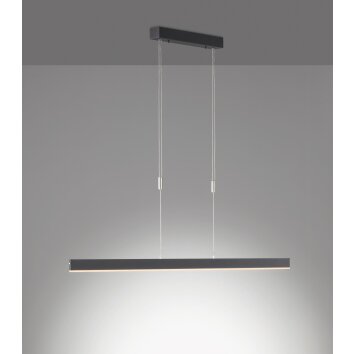 SCHÖNER-WOHNEN-Kollektion Straight Hanglamp LED Zwart, 1-licht