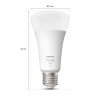 Philips Hue White LED E27 15,5 Watt 2700 Kelvin 1600 Lumen
