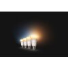 Philips Hue White Ambiance LED E27 6 Watt 2200 - 6500 Kelvin 570 Lumen