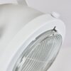 Herford Plafondlamp Natuurlijke kleuren, Wit, 1-licht