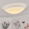 Worben Plafondlamp LED Wit, 1-licht