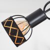 Tarasp Plafondlamp Zwart, 3-lichts