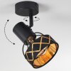 Tarasp Plafondlamp Zwart, 1-licht
