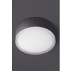 LCD Grasbrunn Buitenshuis plafond verlichting LED Zwart, 1-licht
