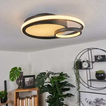 Rafz Plafondlamp LED Zwart, 1-licht