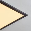 Wilderswil Plafondpaneel LED Wit, 1-licht