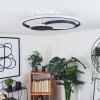 Kolo Plafondlamp LED Zwart, Wit, 1-licht