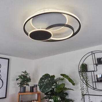 Kolo Plafondlamp LED Zwart, Wit, 1-licht