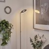 Umag Staande lamp LED Chroom, Nikkel mat, 1-licht