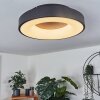 Sachseln Plafondlamp LED Zwart, 1-licht