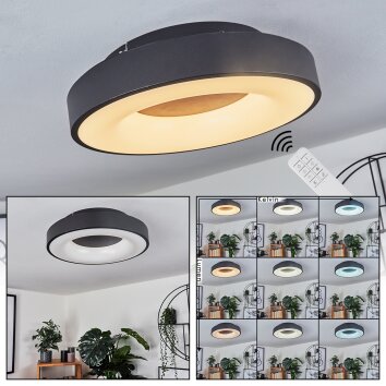 Sachseln Plafondlamp LED Zwart, 1-licht