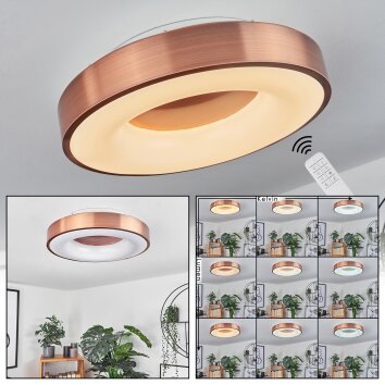 Sachseln Plafondlamp LED Wit, 1-licht