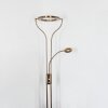 Donna Staande lamp LED Oud messing, 2-lichts
