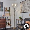 Donna Staande lamp LED Oud messing, 2-lichts