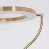 Donna Staande lamp LED Messing, 2-lichts