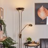 Rom Staande lamp LED Messing, 2-lichts